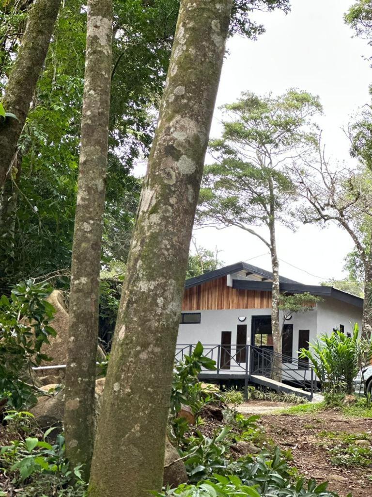 الجبل الأخضر Cabanas Roca Verde المظهر الخارجي الصورة